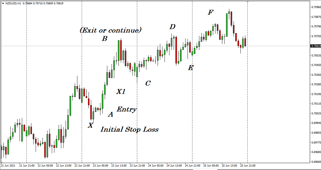 The figure above shows a 1-hour chart of NZD/USD.