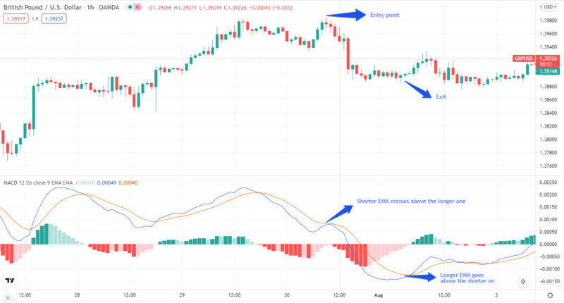 How to Trade Forex Momentum Strategies? • FX Tech Lab