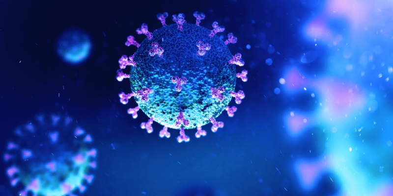 The image of coronavirus