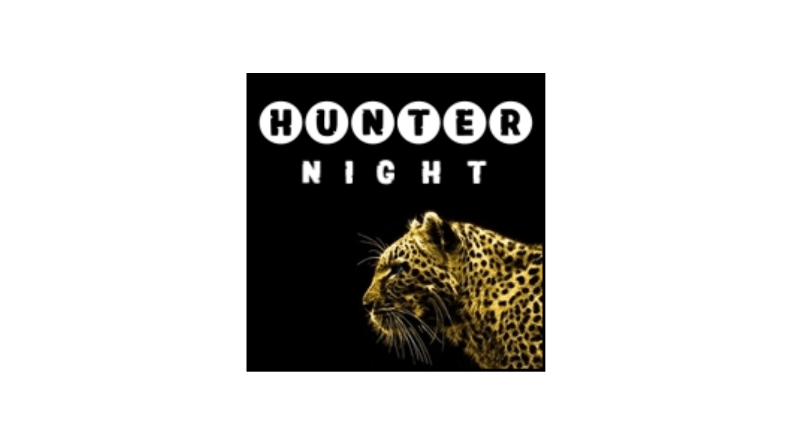 night-hunter-pro-review-poor-performance-and-ineffective-strategy-fx