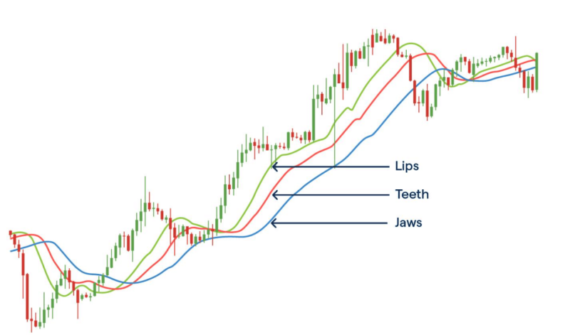 Alligator Strategy Forex: Works Every Day on Every Time Frame • FX Tech Lab