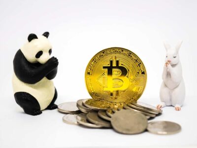 Rabbit and panda figures praying for bitcoin crypto currency.