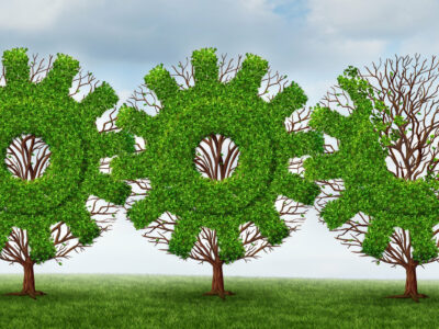 Business development and growing industry concept with trees shaped as a gear or cog connected together with future financial growth ahead on a summer sky background.
