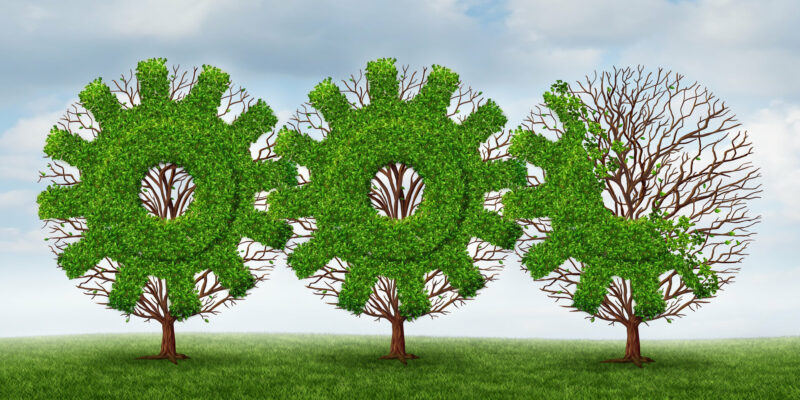 Business development and growing industry concept with trees shaped as a gear or cog connected together with future financial growth ahead on a summer sky background.