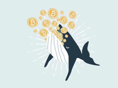 Whale eating Bitcoin. Bitcoin Whales are considered market players with significant funds that are able to move the cryptocurrency market.