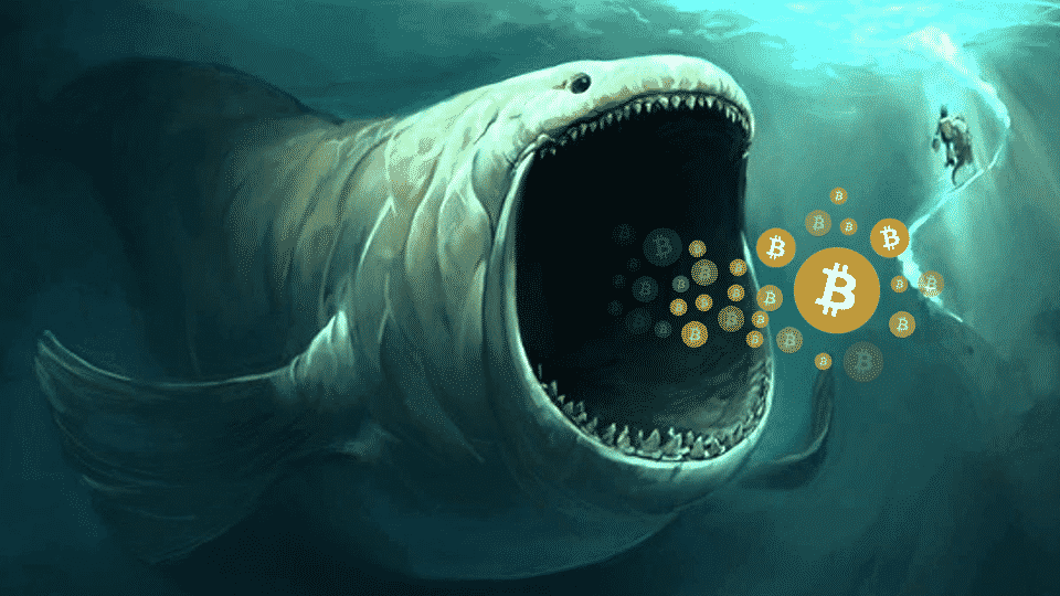 Crypto whales 