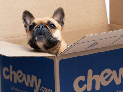 Chewy, In box with the pet-dog inside